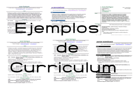 Ejemplos de Curriculum